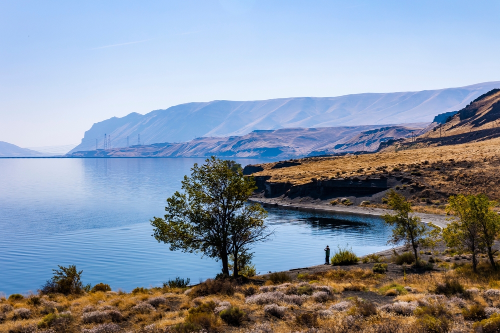 Natural,Scenery,Of,Wanapum,Lake,Columbia,River,And,Vantage,Bridge